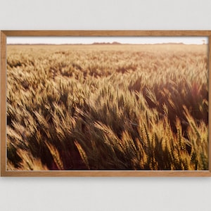 Wheat Field Print, Farm Landscape Art, Farmhouse Wall Decor, Kansas Art Print, Photo Canvas Print, Farm Photography, Gift For Outdoor Lover