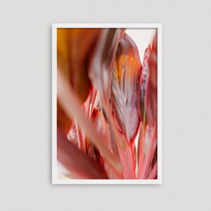 Red Botanical Print - Minimal Photography - Red Wall Art - Photographic Print - Abstract Plant Art - Plant Lover Gift - Plant Artwork
