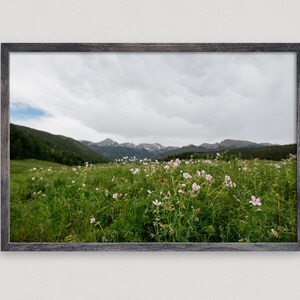 Wildflower Photography - Mountain Landscape Wall Art - Mountain Photo Art - Storm Cloud Art - Photographic Print - Canvas Photo Print