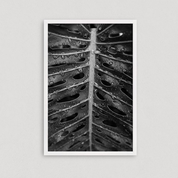 Monstera Art Print, Tropical Plant Wall Art, Black and White Monstera Print, Modern Plant Print, Plant Photography, Plant Lover Gift