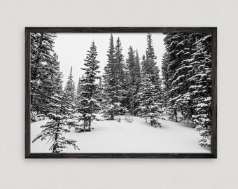 Winter Forest Scene - Black and White Winter Wall Art - Snowy Winter Scene - Forest Canvas Print - Nature Landscape Wall Art