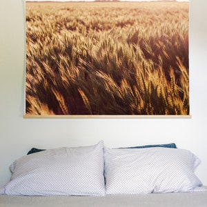 Wheat Field Print, Farm Landscape Art, Farmhouse Wall Decor, Kansas Art Print, Photo Canvas Print, Farm Photography, Midwest Gifts