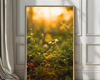 Gilded Meadow Light | Golden Butterfly Fine Art Print, Soft Sunlit Wildflower Photography, Ethereal Nature Wall Decor, Quiet Luxury Art