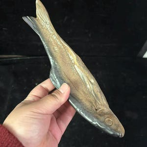 以下が含まれることがあります： テクスチャ加工された表面を持つ、詳細なブロンズ色の魚の彫刻。魚は長く細い体、目立つ尾びれ、小さく詳細な頭を持っています。彫刻は手で持たれており、そのサイズと形を示しています。