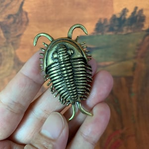 May include: A bronze-colored trilobite pin. The pin features a detailed replica of the extinct marine arthropod, with segmented body, curved antennae, and multiple legs. The pin is a unique accessory for those interested in paleontology or vintage-inspired jewelry.