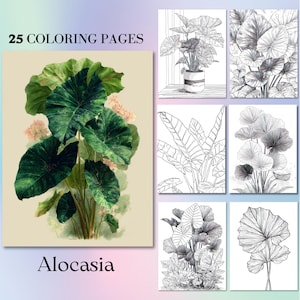 25 pagine da colorare con Alocasia Nature Calm. Libro stampabile per adulti con ADHD, arte digitale con foglie tropicali per iPad, carta, rilassamento consapevole.