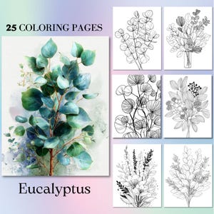 25 pagine da colorare con eucalipto. Libro stampabile per adulti con ADHD, arte digitale con foglie tropicali per iPad, carta, rilassamento consapevole.