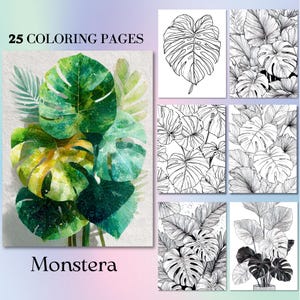 25 pagine da colorare con Monstera Nature Calm. Libro stampabile per adulti per la terapia ADHD, arte digitale con foglie tropicali per iPad e carta, rilassamento consapevole.