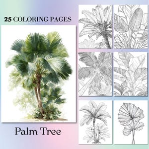 25 disegni da colorare con palme. Libro stampabile per adulti con ADHD, arte digitale con foglie tropicali per iPad, carta, rilassamento consapevole.