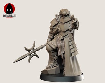 May include: A detailed resin figurine of a warrior in ornate armour, holding a spear. The figure is in a dynamic pose, with the text "Observer - Holy Shogunate" and "High Detail Resin - Printed In-House" displayed.