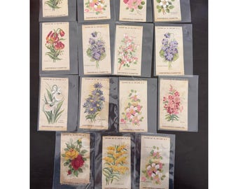 rare silk cigarette cards old card English flowers Olender 779 This item is unavailable -