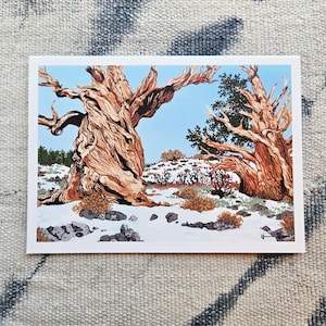 May include: A print featuring a landscape with two large, textured trees with reddish-brown bark against a light blue sky. The ground is covered in snow and small shrubs.