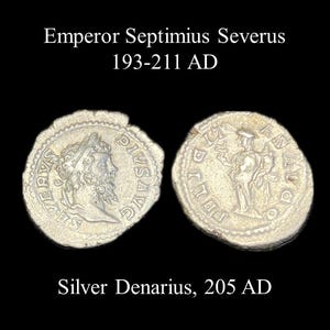 Ancient Roman: Emperor Septimius Severus AR Denarius 205 A.D.
