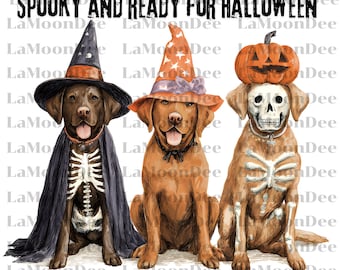 Peut inclure: Illustration de trois chiens déguisés pour Halloween. L'un porte un chapeau de sorcière et une cape avec un squelette, un autre un chapeau de sorcière, et le troisième une citrouille sur la tête avec un visage et un corps de squelette. Texte : "SPOOKY AND READY FOR HALLOWEEN."