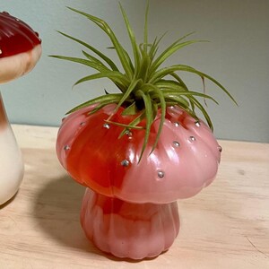 Resin Mushroom Vase, Plant Propagation, Red/Pink