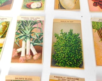 100 étiquettes de paquets de graines de légumes françaises vintage des années 1920-30, pas de réimpressions