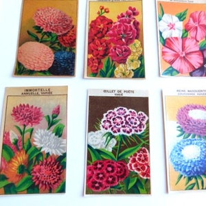 20 Vintage French Flower Seed Packet Labels 1920-30s Not Reprints image 8