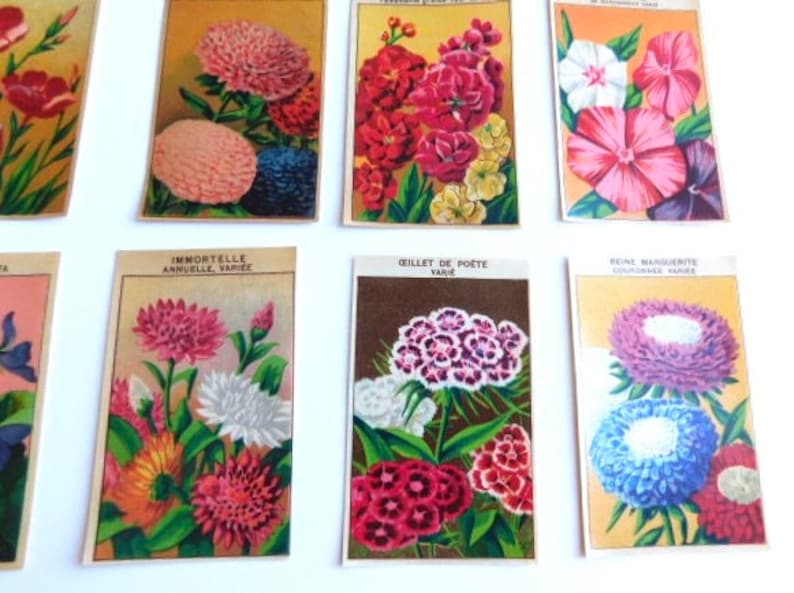 20 Vintage French Flower Seed Packet Labels 1920-30s Not Reprints image 8