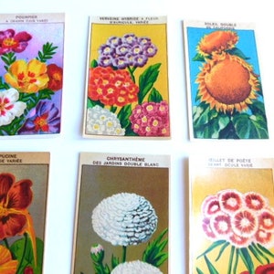 20 Vintage French Flower Seed Packet Labels 1920-30s Not Reprints image 7