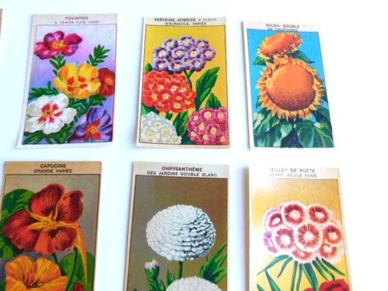 20 Vintage French Flower Seed Packet Labels 1920-30s Not Reprints image 7