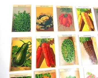 May include: Vintage seed packets featuring illustrations of various vegetables, including basil, cabbage, carrots, zucchini, and more. The packets are yellow with black text and feature French names for each vegetable.