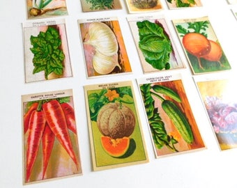 40 Vintage French Vegetable Seed Packet Labels 1920-30s Not Reprints