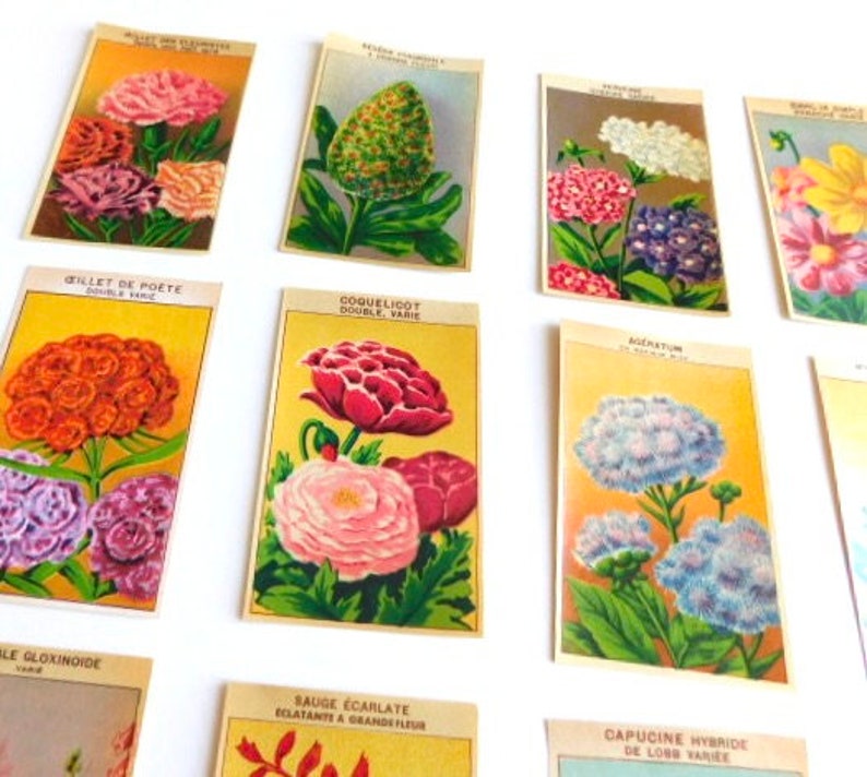 20 Vintage French Flower Seed Packet Labels 1920-30s Not Reprints image 3