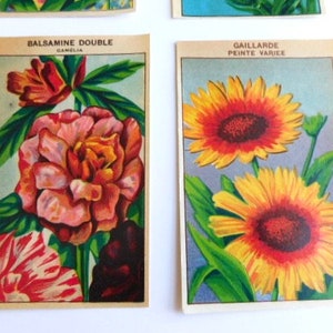 20 Vintage French Flower Seed Packet Labels 1920-30s Not Reprints image 5