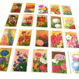 20 Vintage French Flower Seed Packet Labels 1920-30s Not Reprints image 10