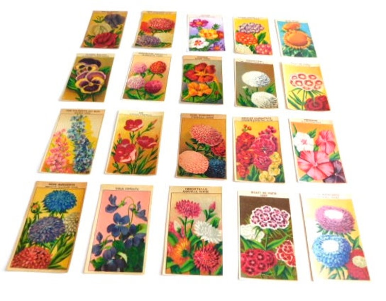 20 Vintage French Flower Seed Packet Labels 1920-30s Not Reprints image 10