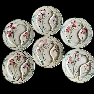 Può includere: Set di sei piatti in ceramica bianca con un design diviso. Ogni piatto presenta un motivo floreale con fiori e foglie rosa e verdi.