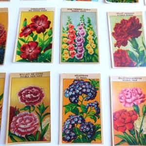 20 Vintage French Flower Seed Packet Labels 1920-30s Not Reprints image 9