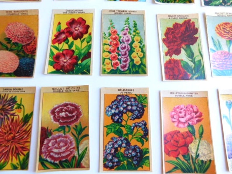 20 Vintage French Flower Seed Packet Labels 1920-30s Not Reprints image 9