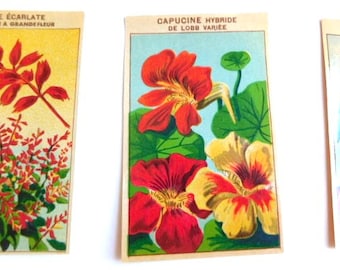 20 Vintage French Flower Seed Packet Labels 1920-30s Not Reprints