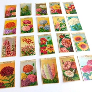 20 Vintage French Flower Seed Packet Labels 1920-30s Not Reprints image 2