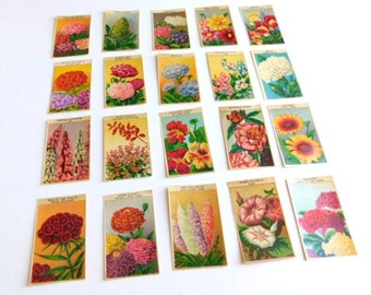 40 Vintage French Flower Seed Packet Labels 1920-30s Not Reprints