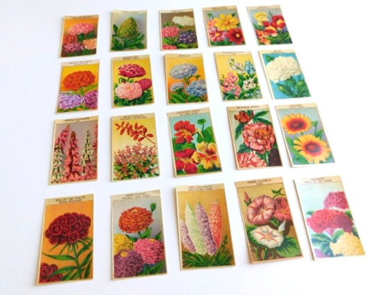 20 Vintage French Flower Seed Packet Labels 1920-30s Not Reprints image 2