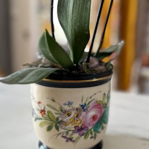 French Porcelain Jardiniere or Cache Pot