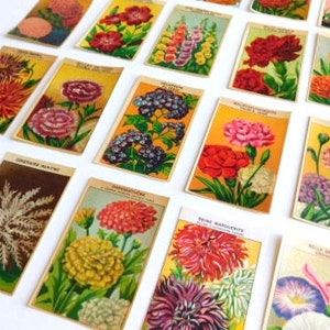 20 Vintage French Flower Seed Packet Labels 1920-30s Not Reprints image 6