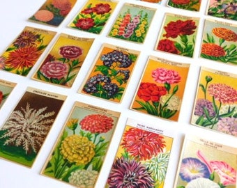 Puede incluir: Una colección de sobres de semillas vintage con ilustraciones florales coloridas. Los sobres muestran varias flores en plena floración, con una mezcla de rojos, rosas, amarillos y morados vibrantes. Cada sobre tiene un borde y texto color crema.