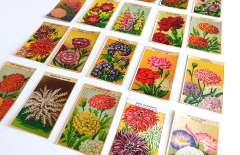 20 Vintage French Flower Seed Packet Labels 1920-30s Not Reprints image 6