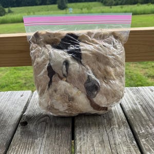 May include: A clear plastic bag filled with raw wool fibers, sealed with a pink and white zipper. The wool is a mix of light beige, brown, and black. The bag rests on a weathered wooden surface, with a green field and trees in the background.