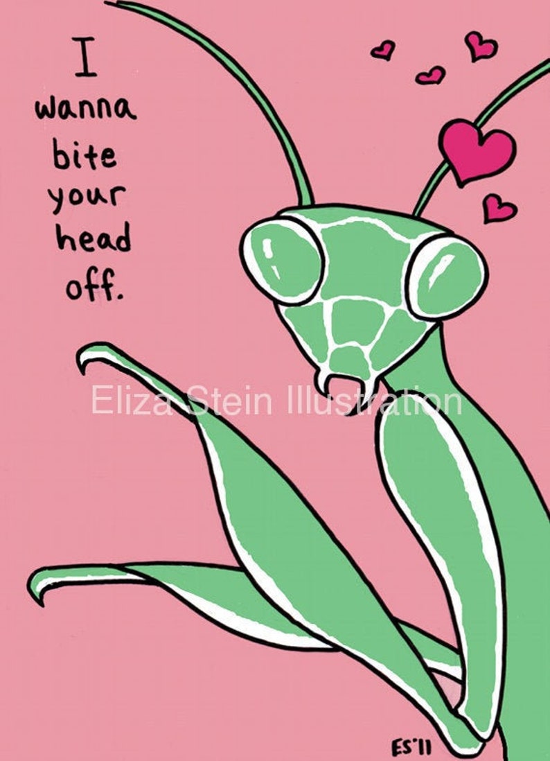 Praying Mantis Funny Valentine Card, Insect, Weird, Offbeat for Valentines Day, Blank, 5x7 I Love You Greeting Card image 2