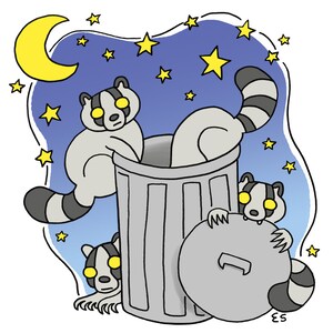 Four Raccoons 8x8 or 5x5 Art Print, Creepy Cute, Spooky Animal Illustration, Trash Panda, Garbage Can