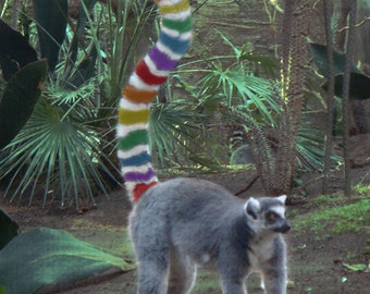 Rainbow Lemur 5x7 Blank Greeting Card, Queer, LGBT, Gay Pride