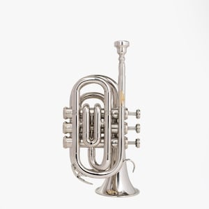 Bb Pocket Trumpet Compact Brass Musical Instrument with Bb 7C Mouthpiece & Hard Carrying Case Silver Flat Trumpet Mini Trumpet Portable