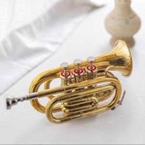 Bb Pocket Trumpet Compact Brass Musical Instrument with Bb 7C Mouthpiece & Hard Carrying Case Gold Flat Trumpet Mini Trumpet Portable