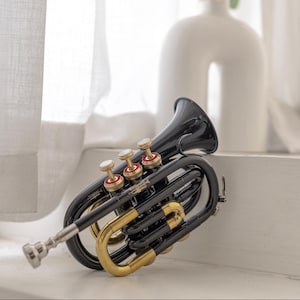 Bb Pocket Trumpet Black Compact Brass Musical Instrument Flat Trumpet with 7C Mouthpiece Cushioned Hard Carrying Case Mini Trumpet Portable