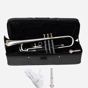 Bb Trumpet Beginner Trumpet for Students & Adults Brass Trumpet with Hard Case, Mouthpiece Lacquer Finish Wind Instrument for Band Practice