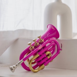 Bb Pocket Trumpet Compact Brass Musical Instrument with Bb 7C Mouthpiece & Hard Carrying Case Pink Flat Trumpet Mini Trumpet Portable
